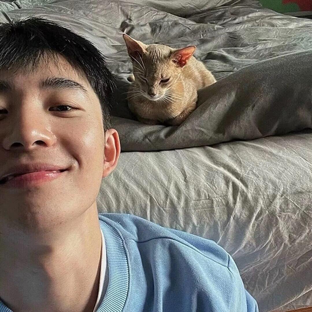 锦鲤