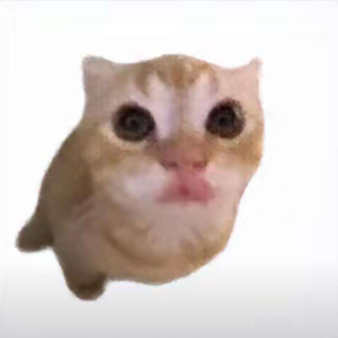 ——
