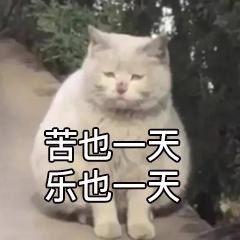 猫薄荷.