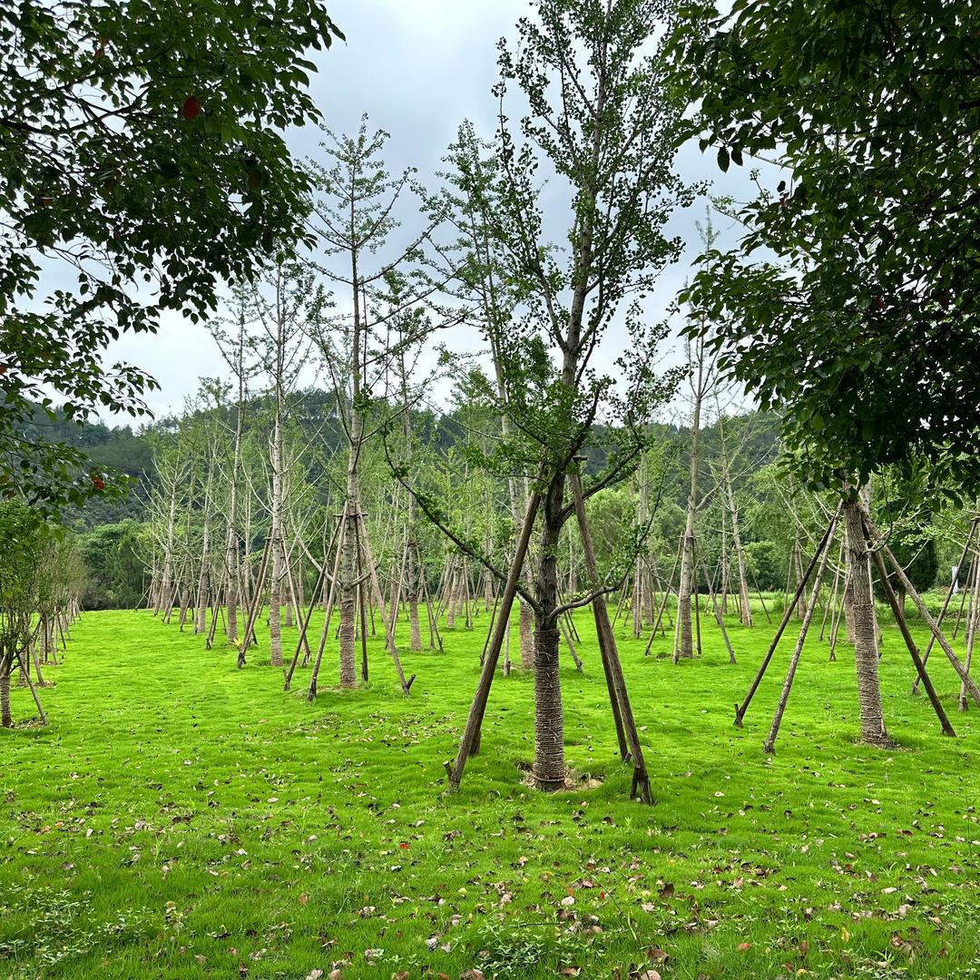 不二的茶（荣山店）