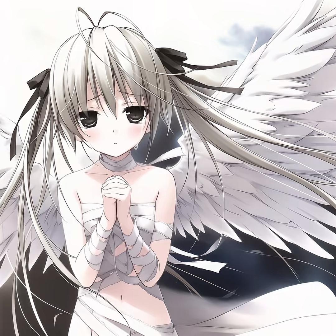 yuyu