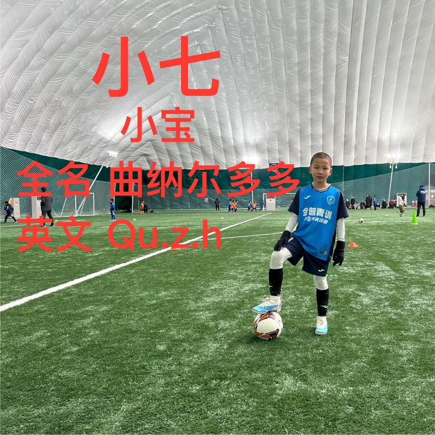 足球天才宝（曲纳尔多多）