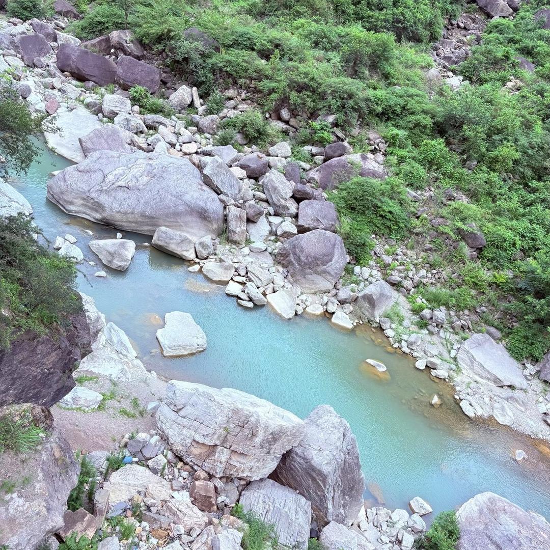 彪哥溪流钓～野钓