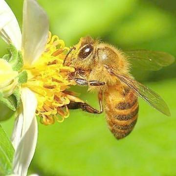 那那那🍯