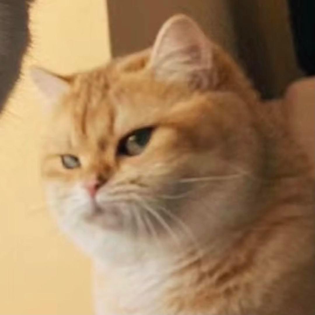 是一只吃吃猹