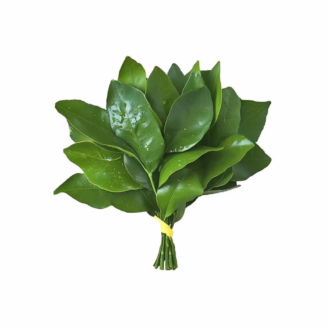 芽芽的小呆毛