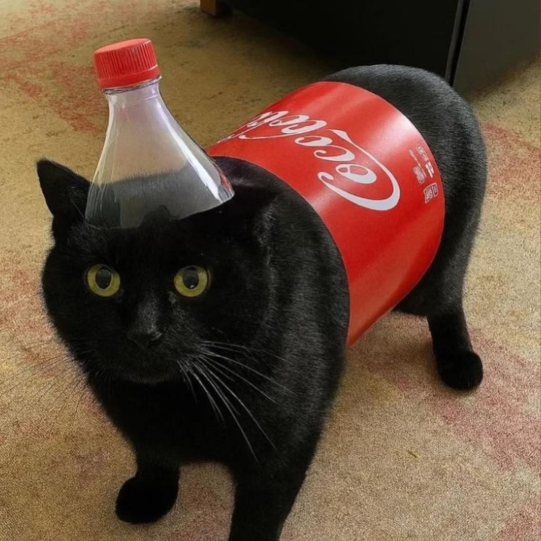 我是小猫我爱喝可乐