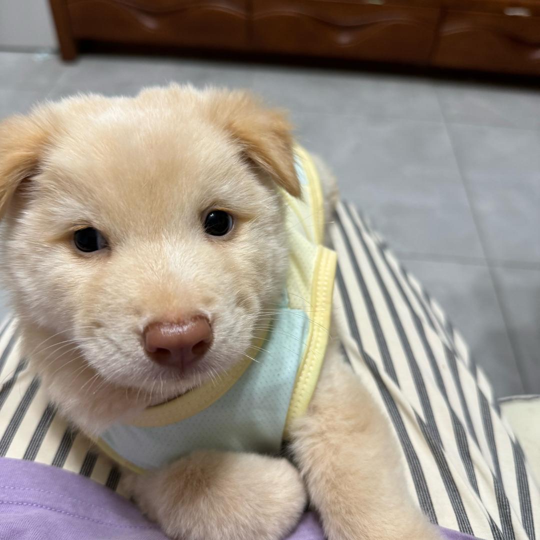 Hhhhhh（见过库里版