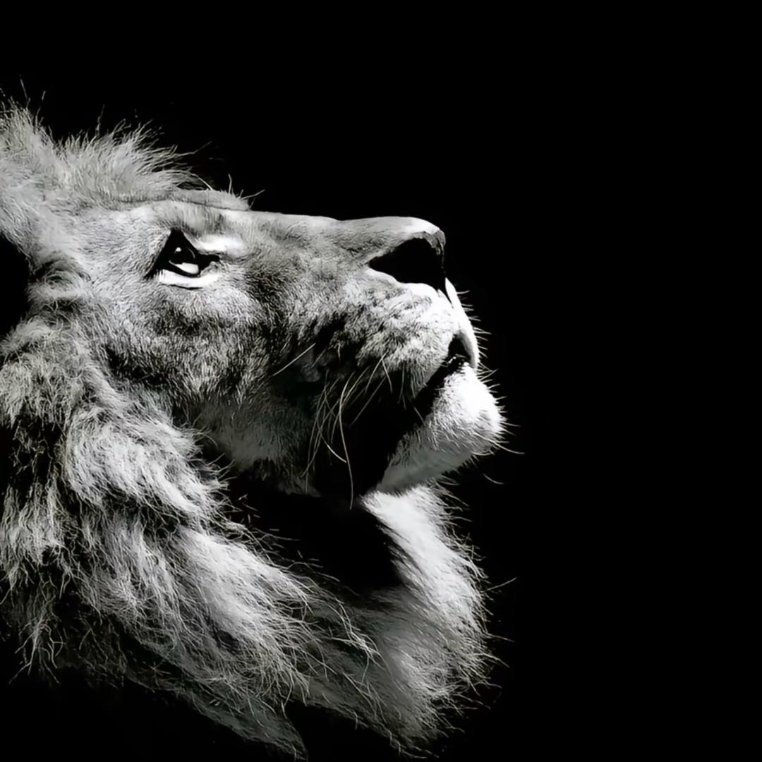 𝒇𝒖𝒍𝒍𝒐𝒗𝒆