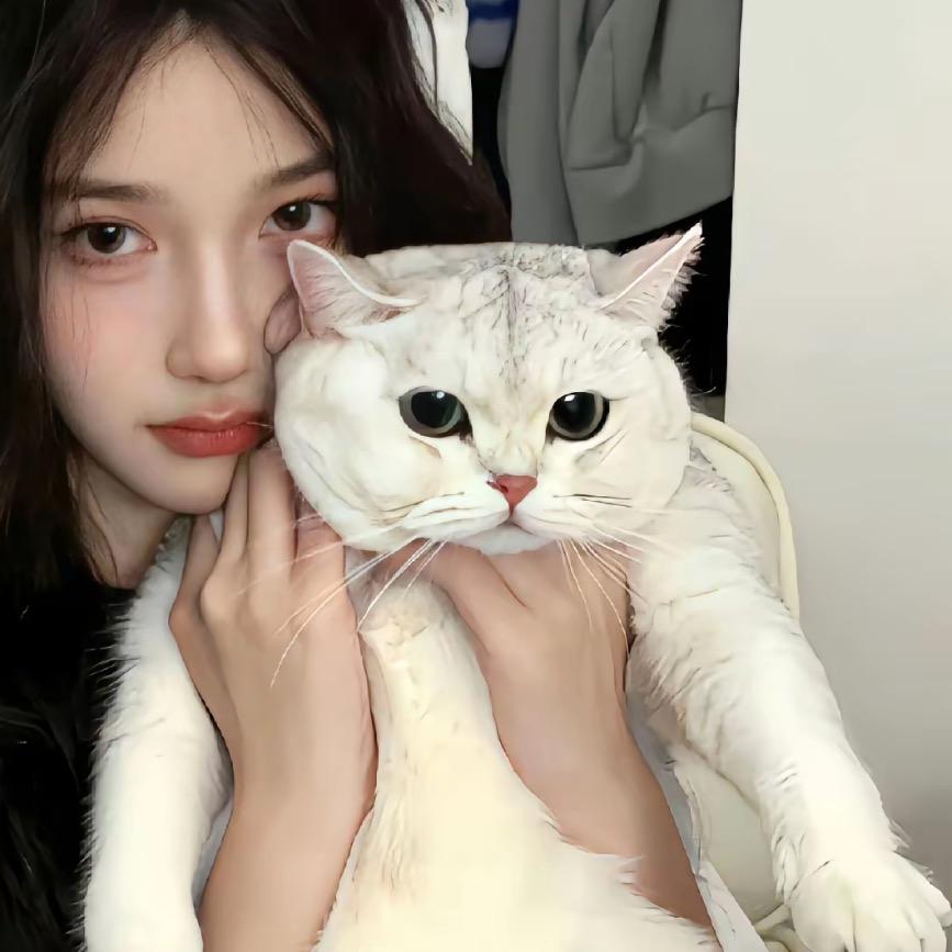 月.🌙