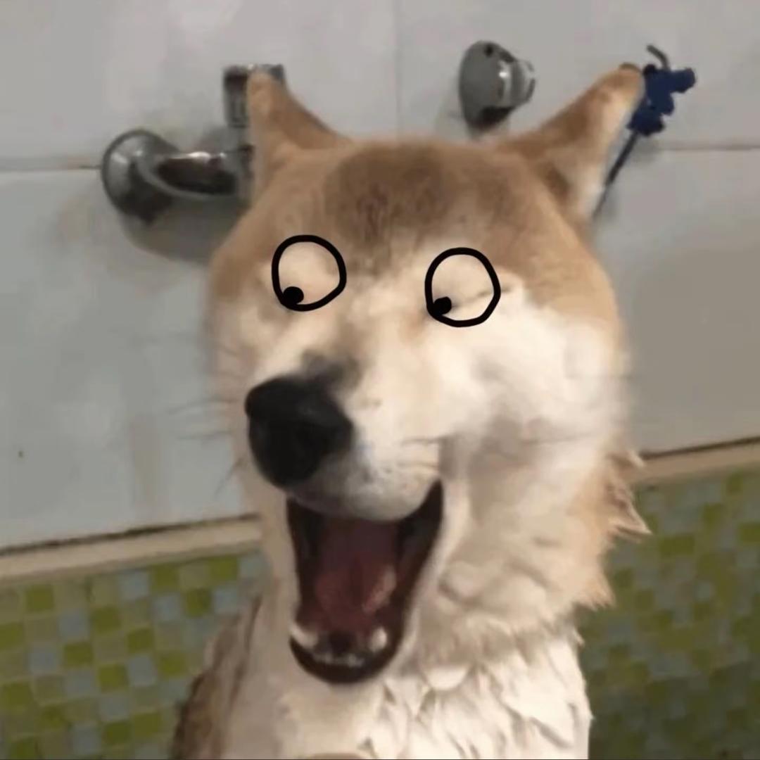 Ayy