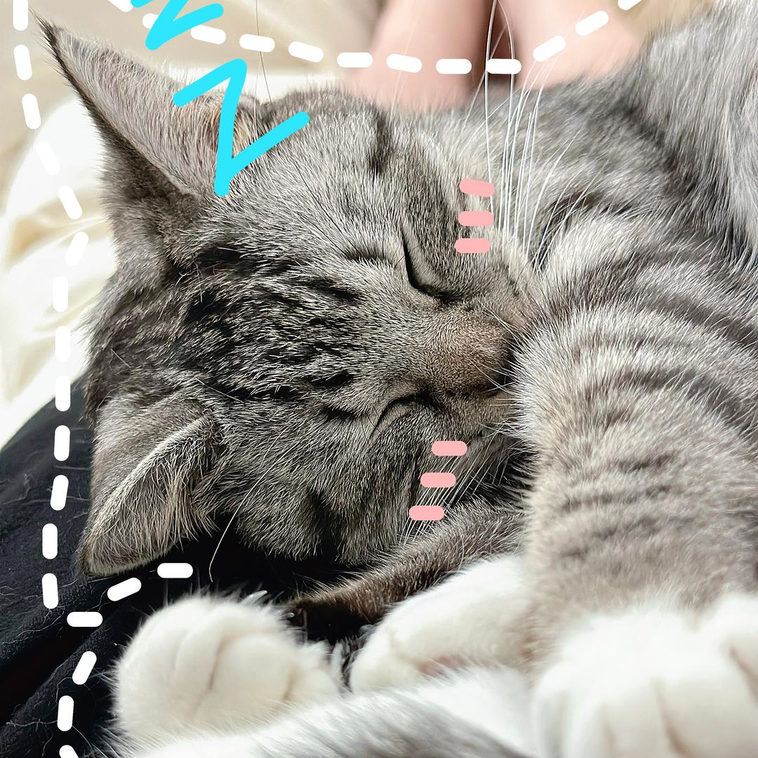 芝士超好吃🧀️