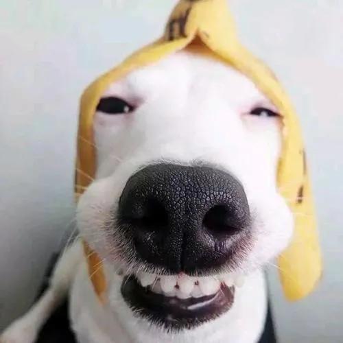 司马说游戏