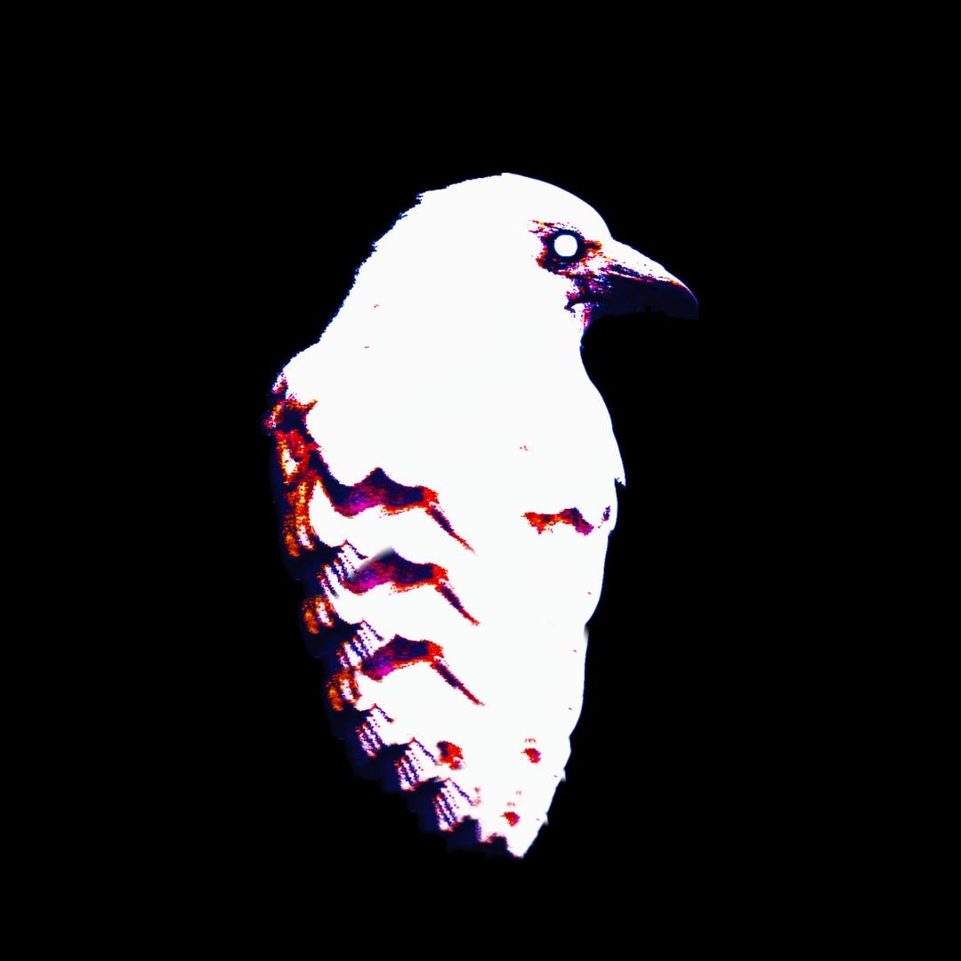 RockRustyBird摇滚锈迹鸟