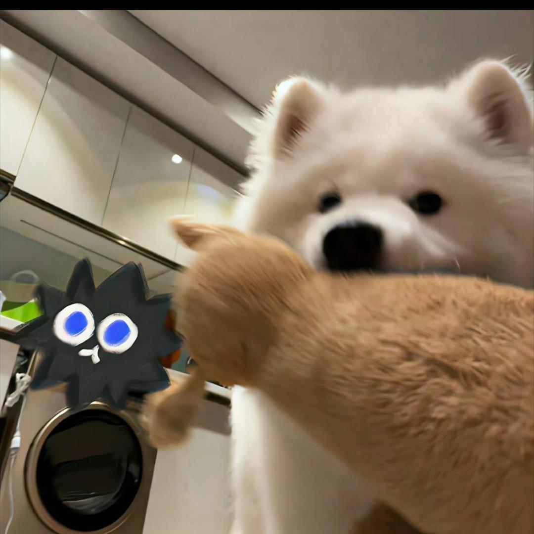 ！！！！！