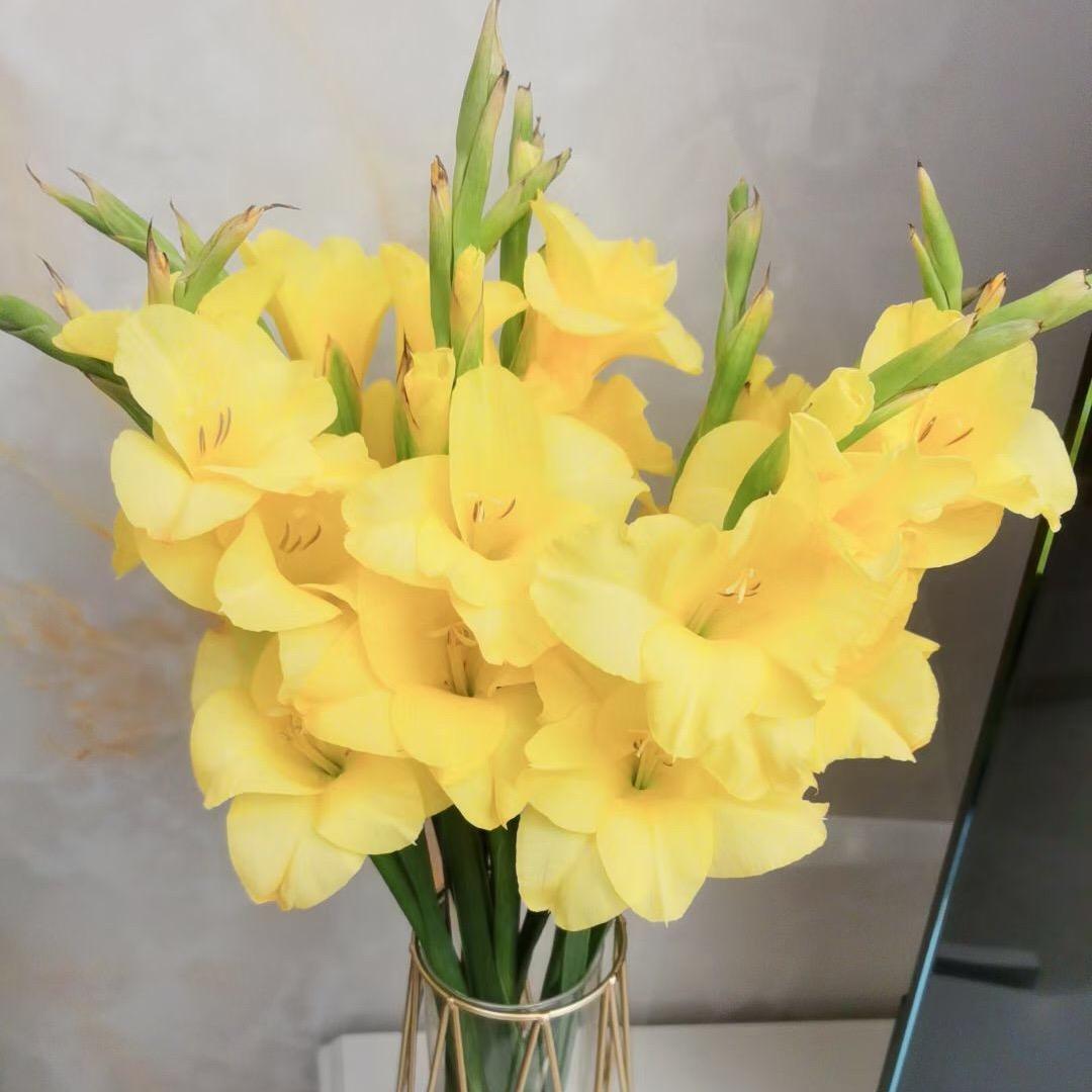 彤妈做最美的自己！加油！