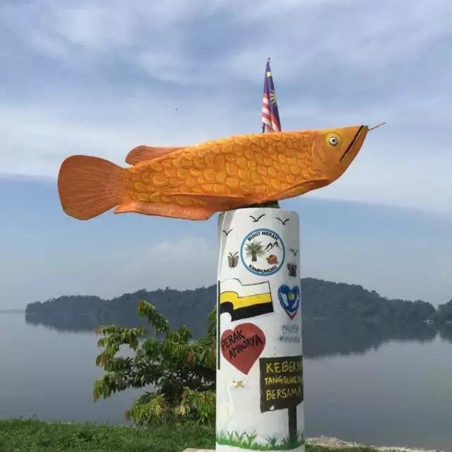 菲姐