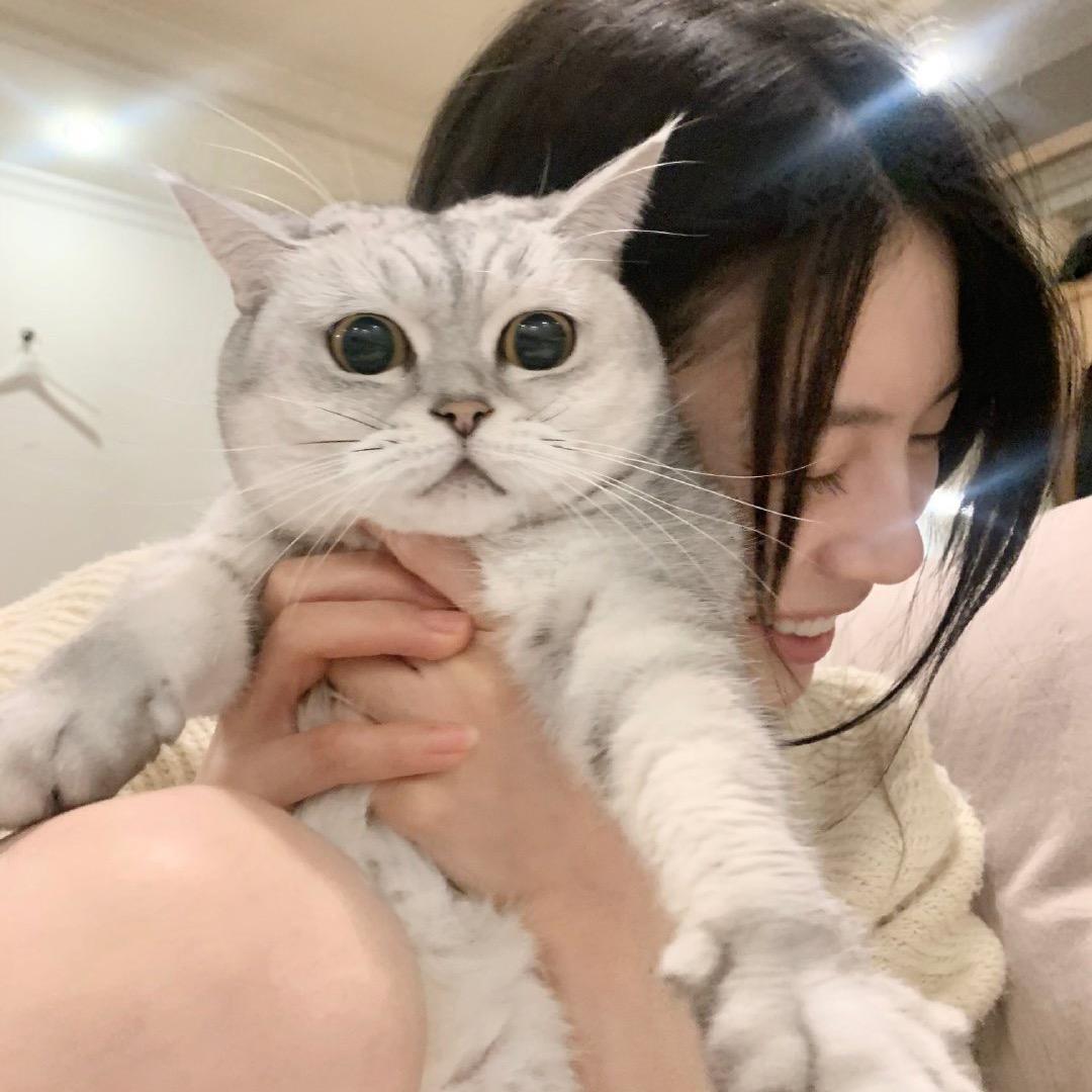 上山打老虎