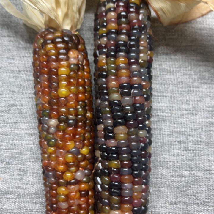 若乔七彩文玩玉米