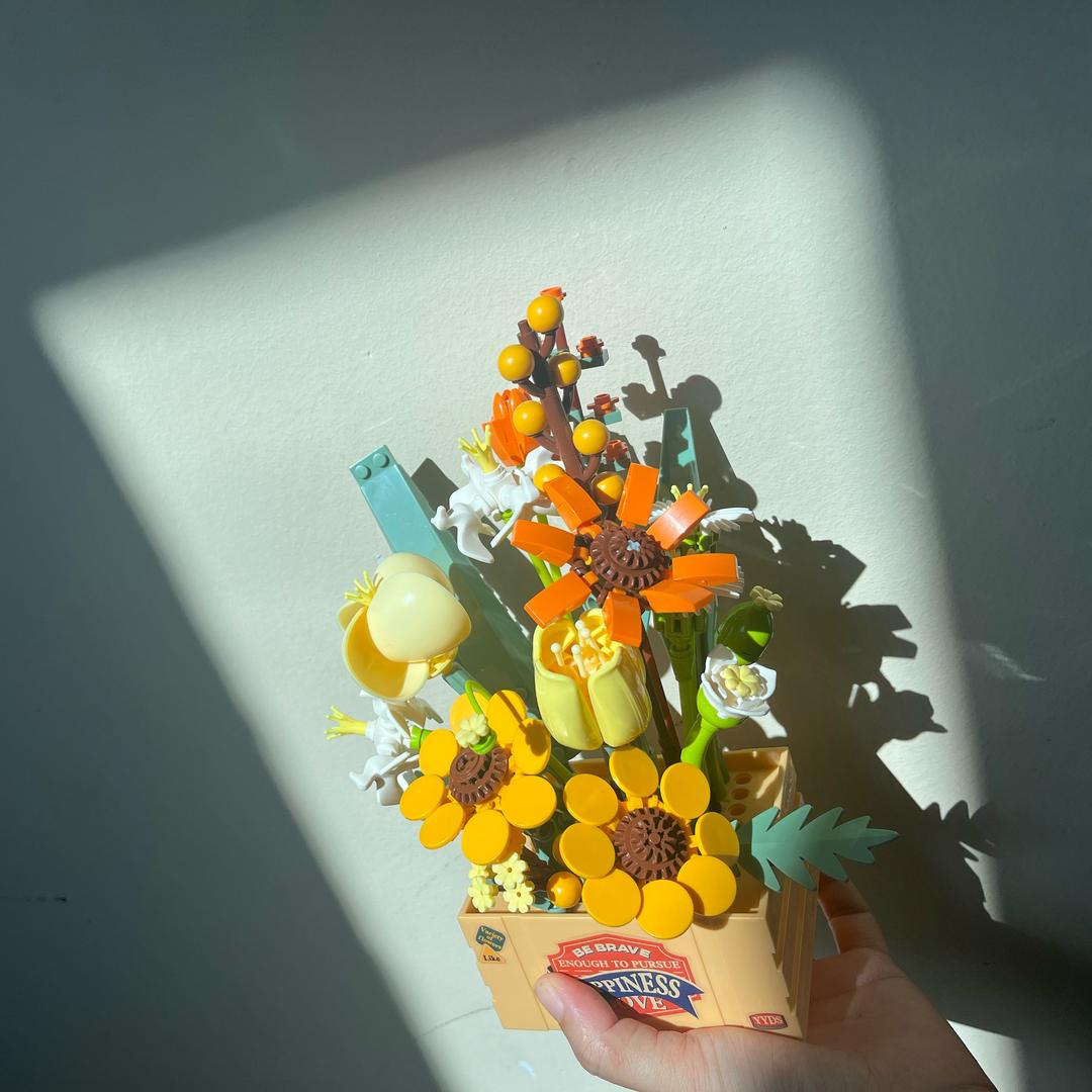 芝芝GAN