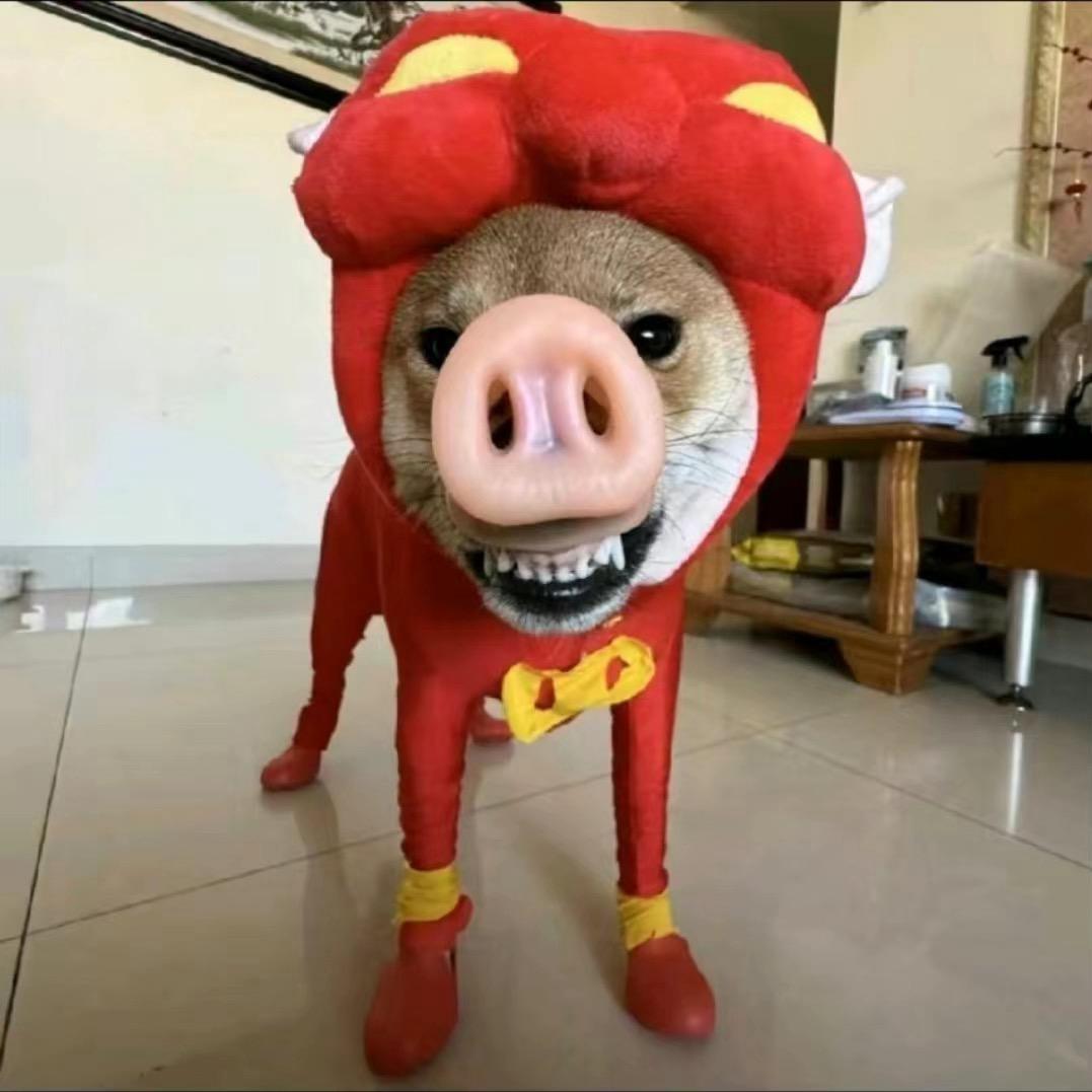 直盗吗