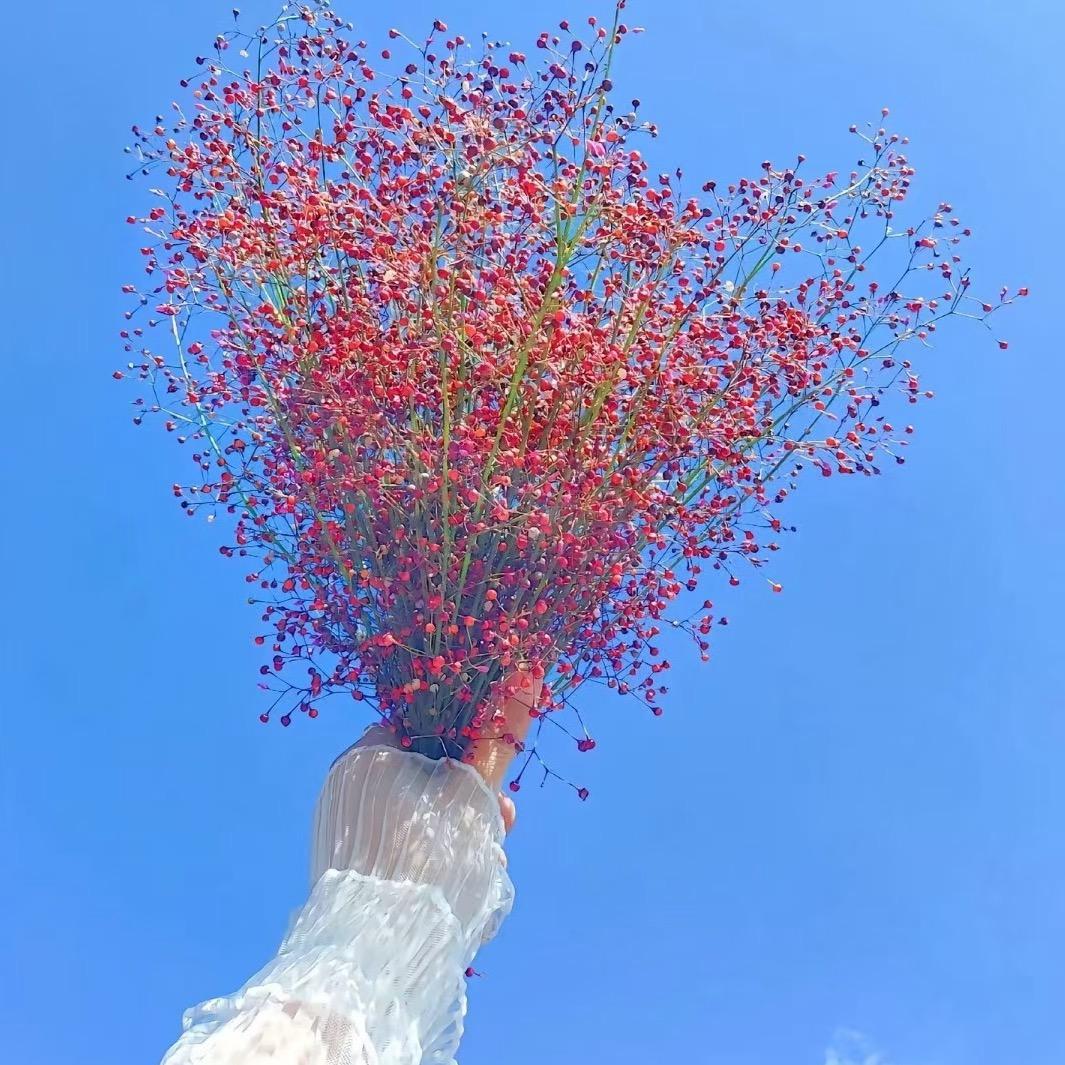 小米🌸