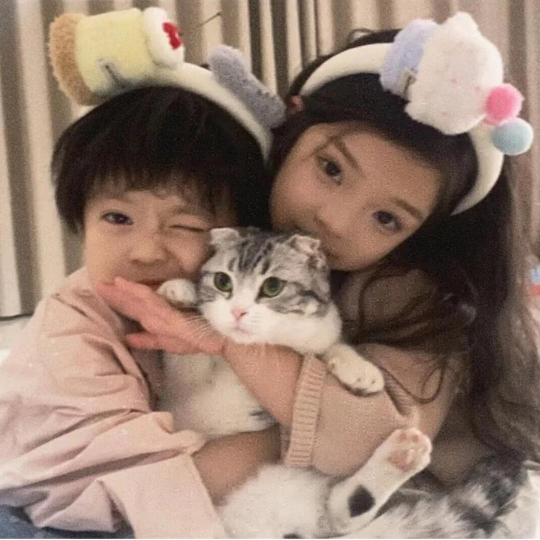 嘉木🐾