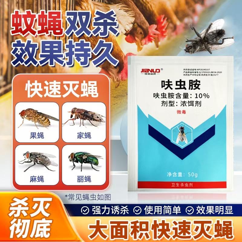 蚊蝇专家