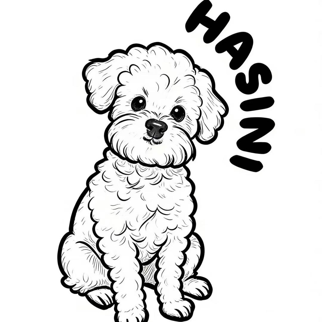 哈斯尼宠物零食