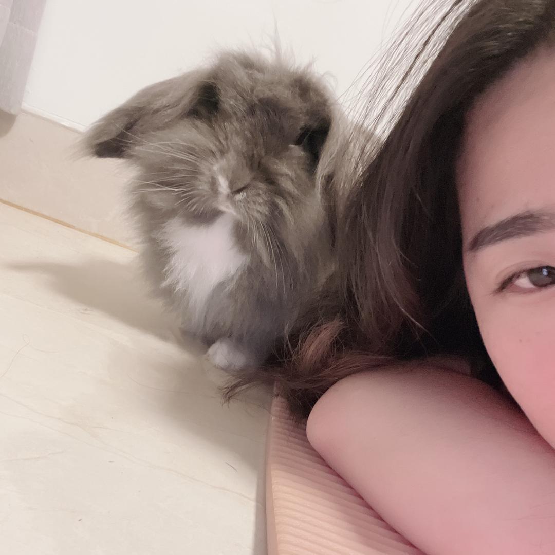 李可乐乐🐰