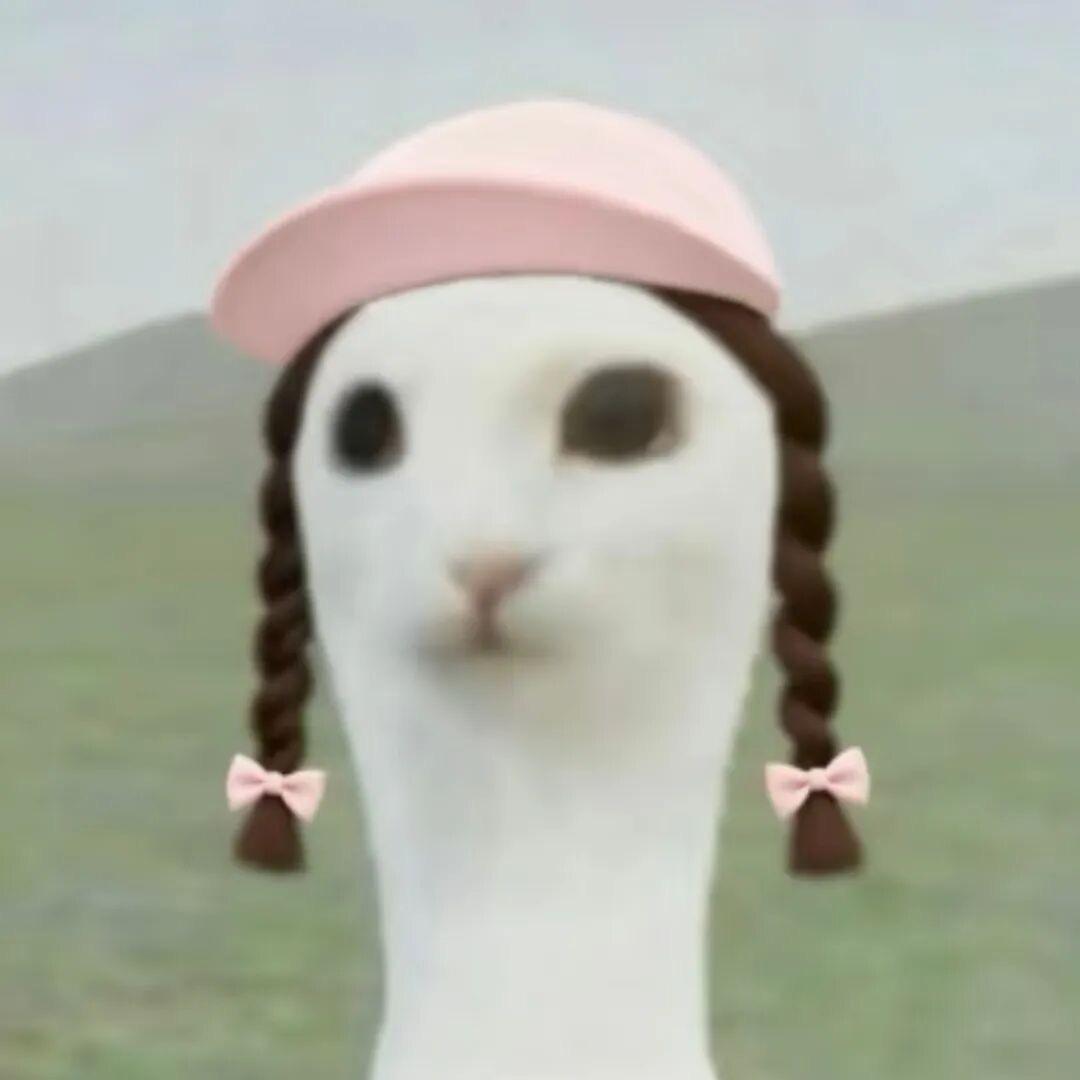 🍜不知名王友