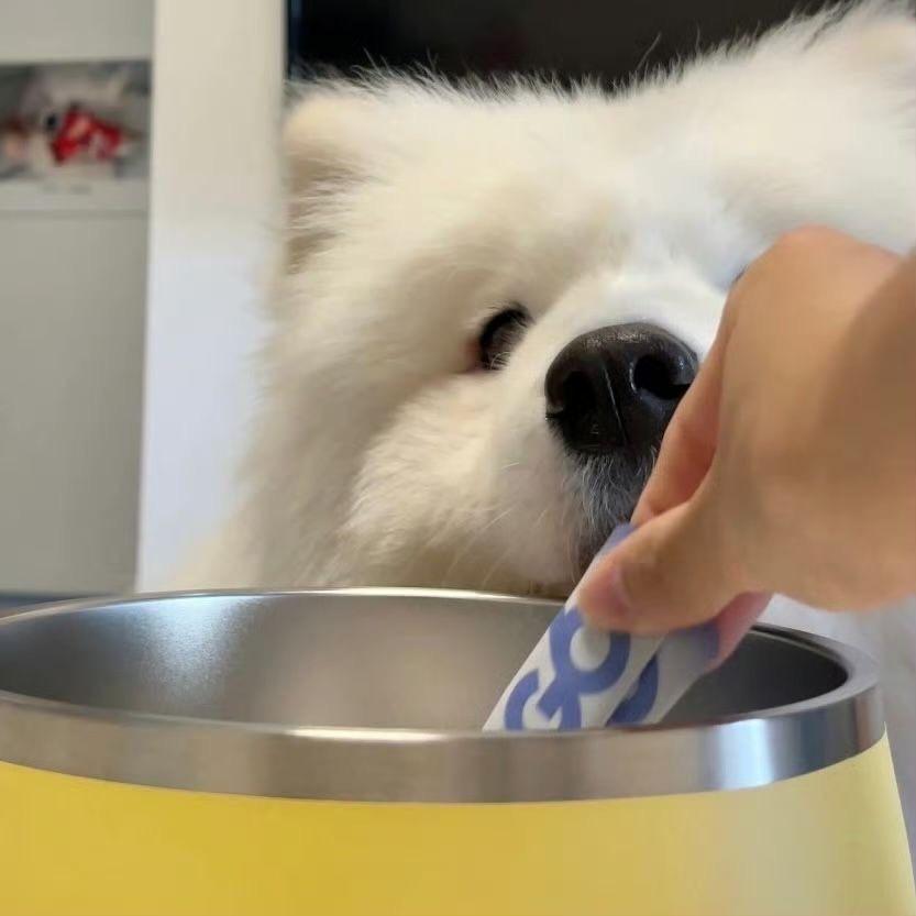 SPARTY酒吧营销订台王（七七）