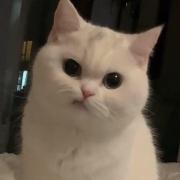 剑断了z