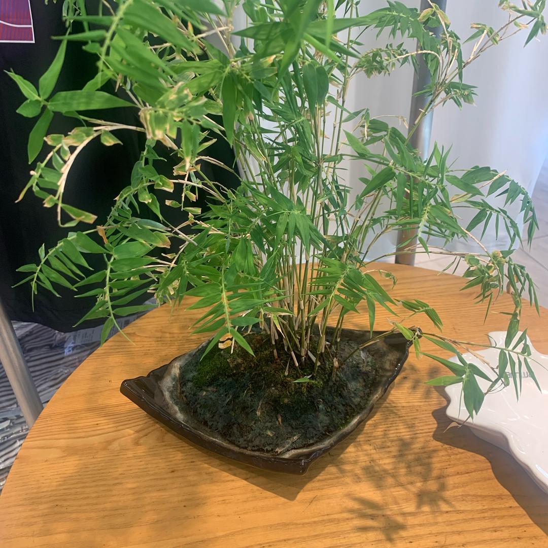 小胖优选(新鲜看得见)