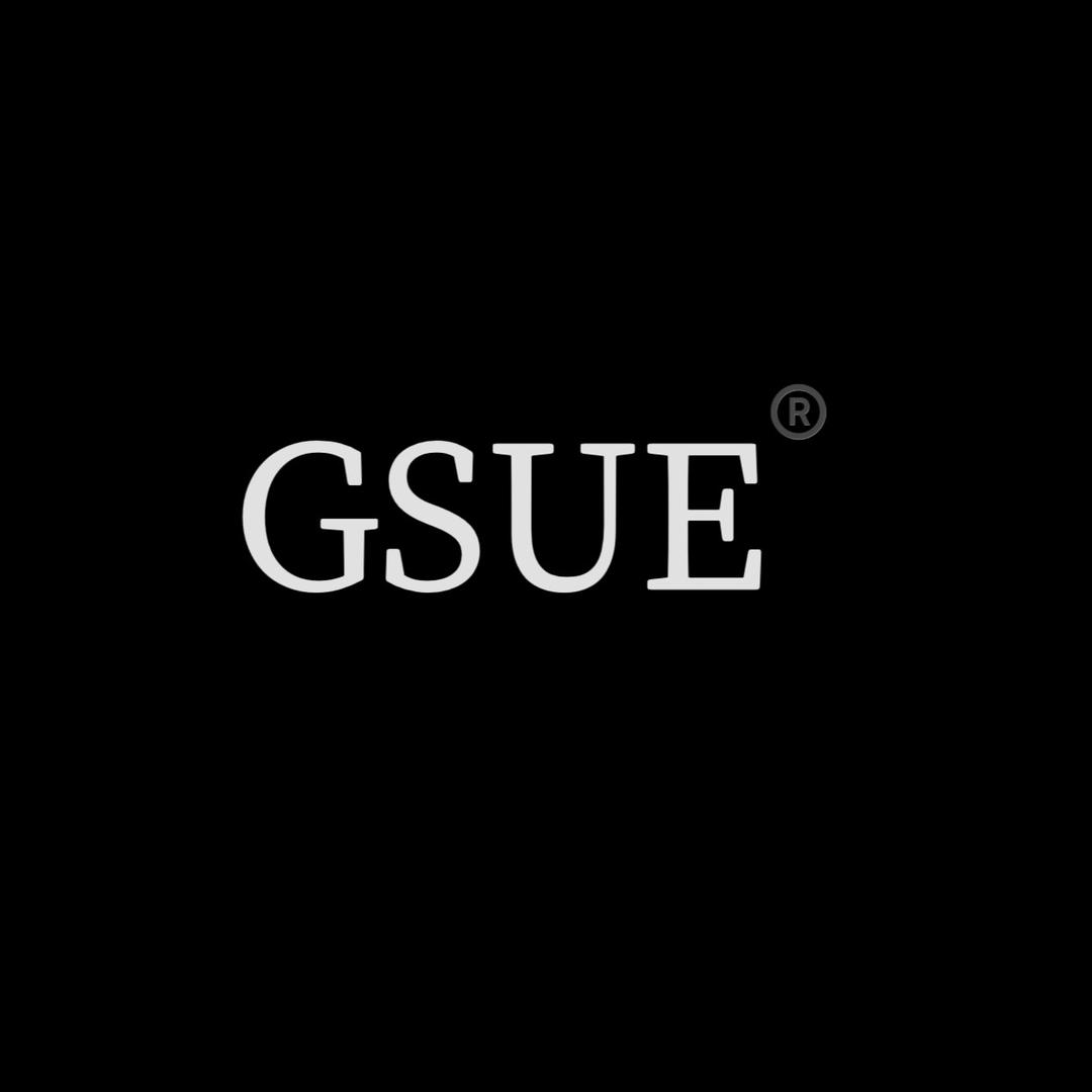 GSUE汽车用品旗舰店