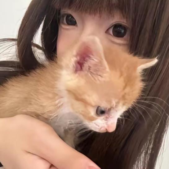 郁郁小猪（被资本家做局限流版本）