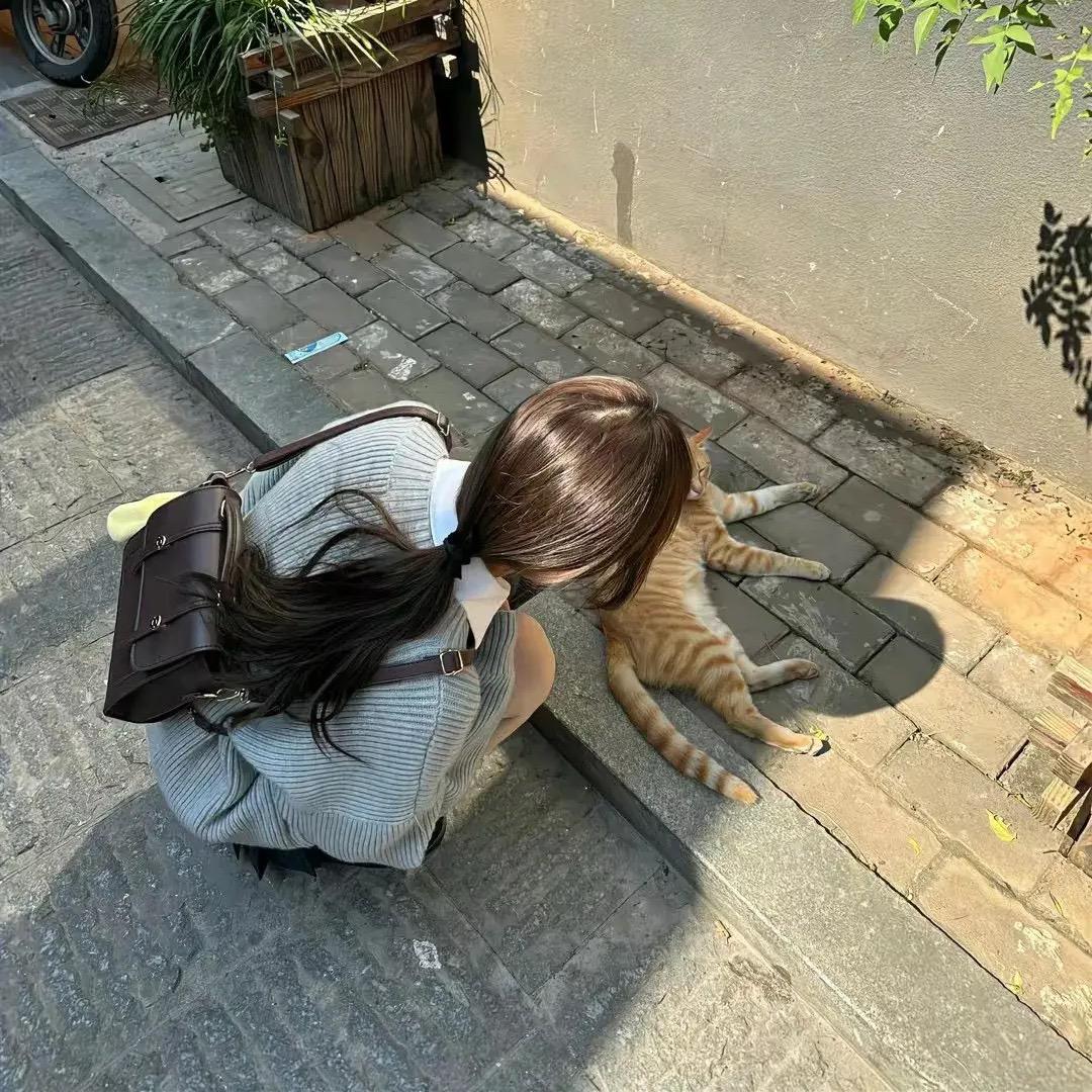 小陈叫小陈.