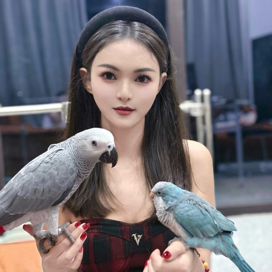 耿耿的鹦鹉养殖场