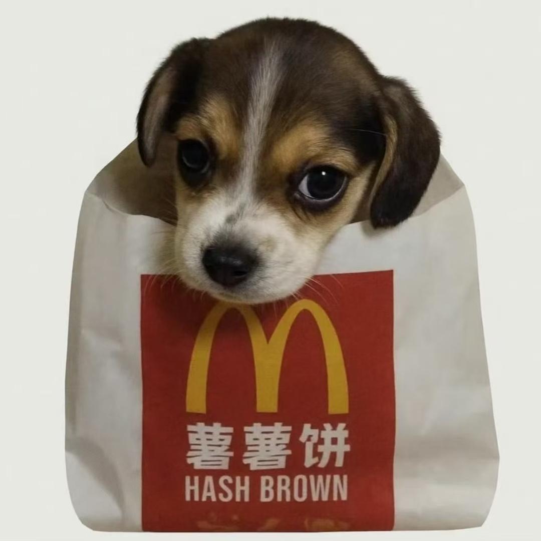 小心热可可