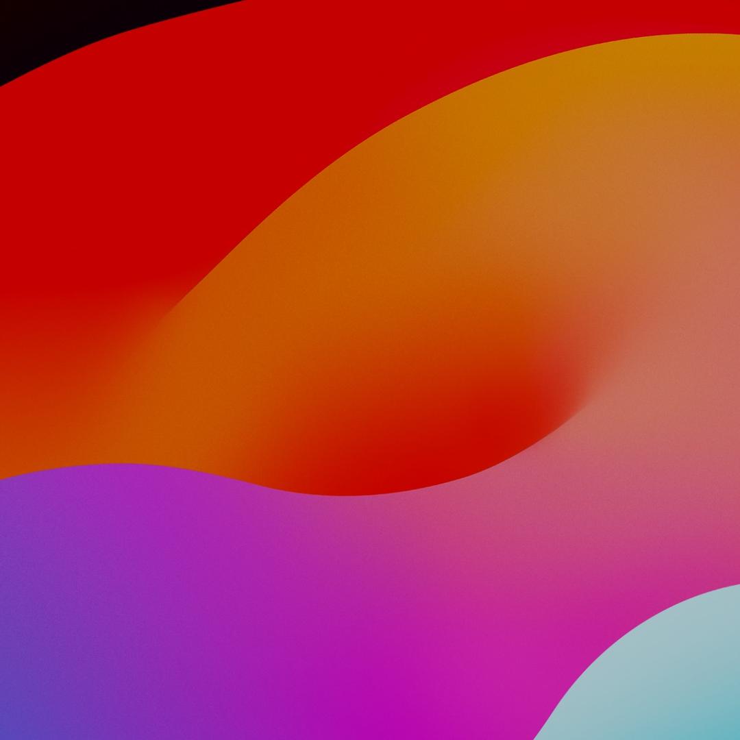 张针