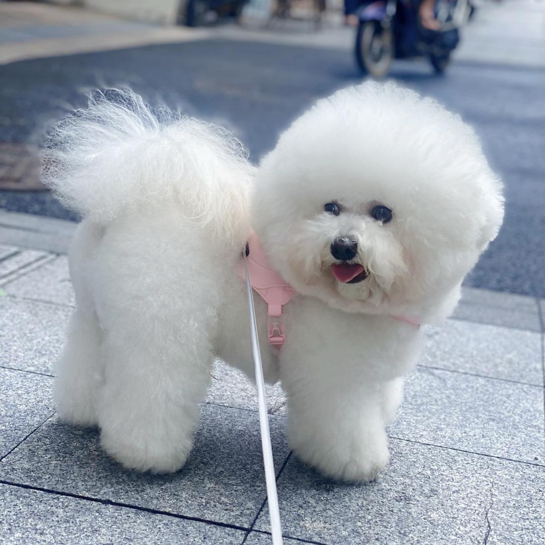 小崽小崽呼噜噜