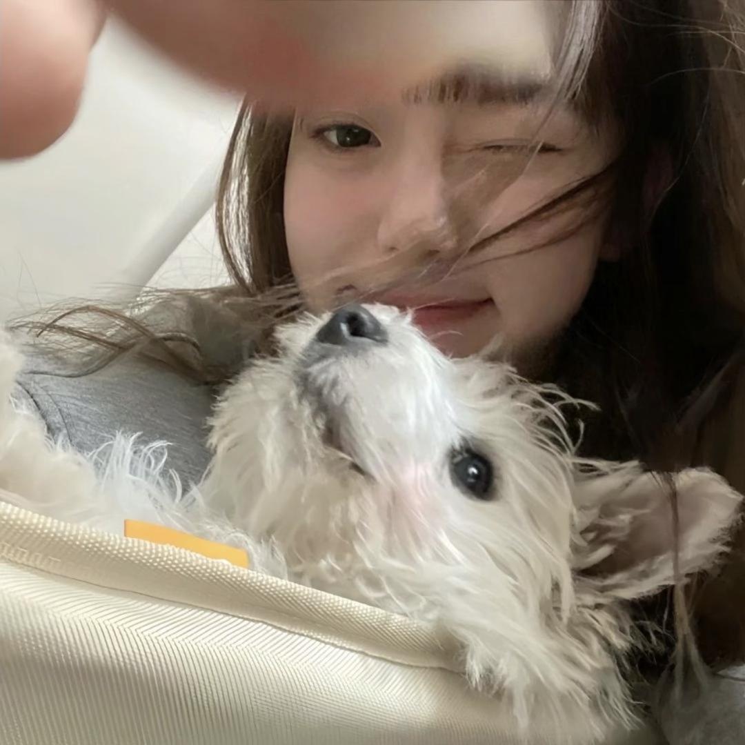 困成憨宝
