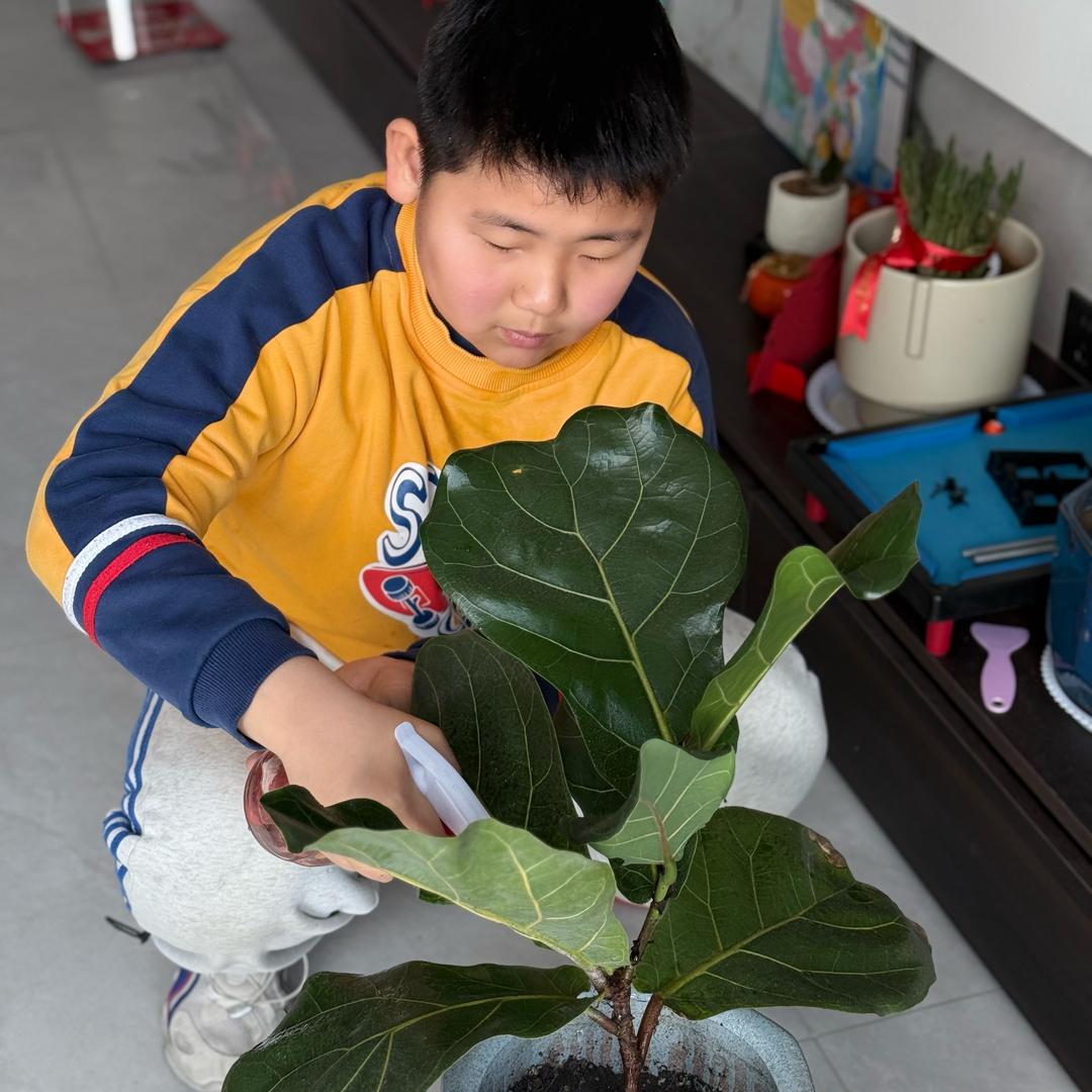 笨笨在努力