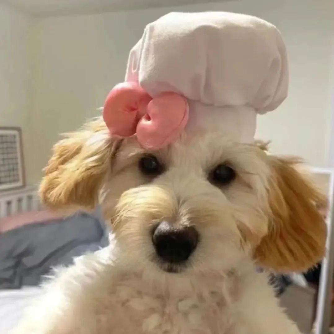 我系sookie😶‍🌫️