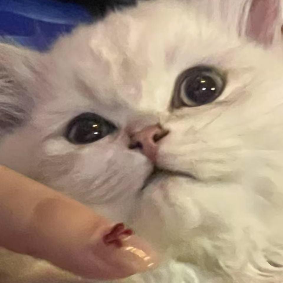 吃饱当赢开心就好