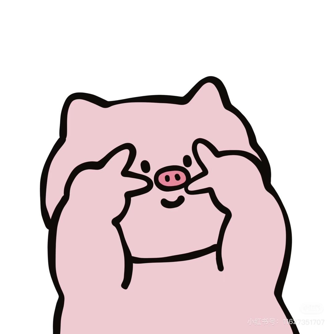 胖胖小猪₍ •͈🐽•͈ ₎