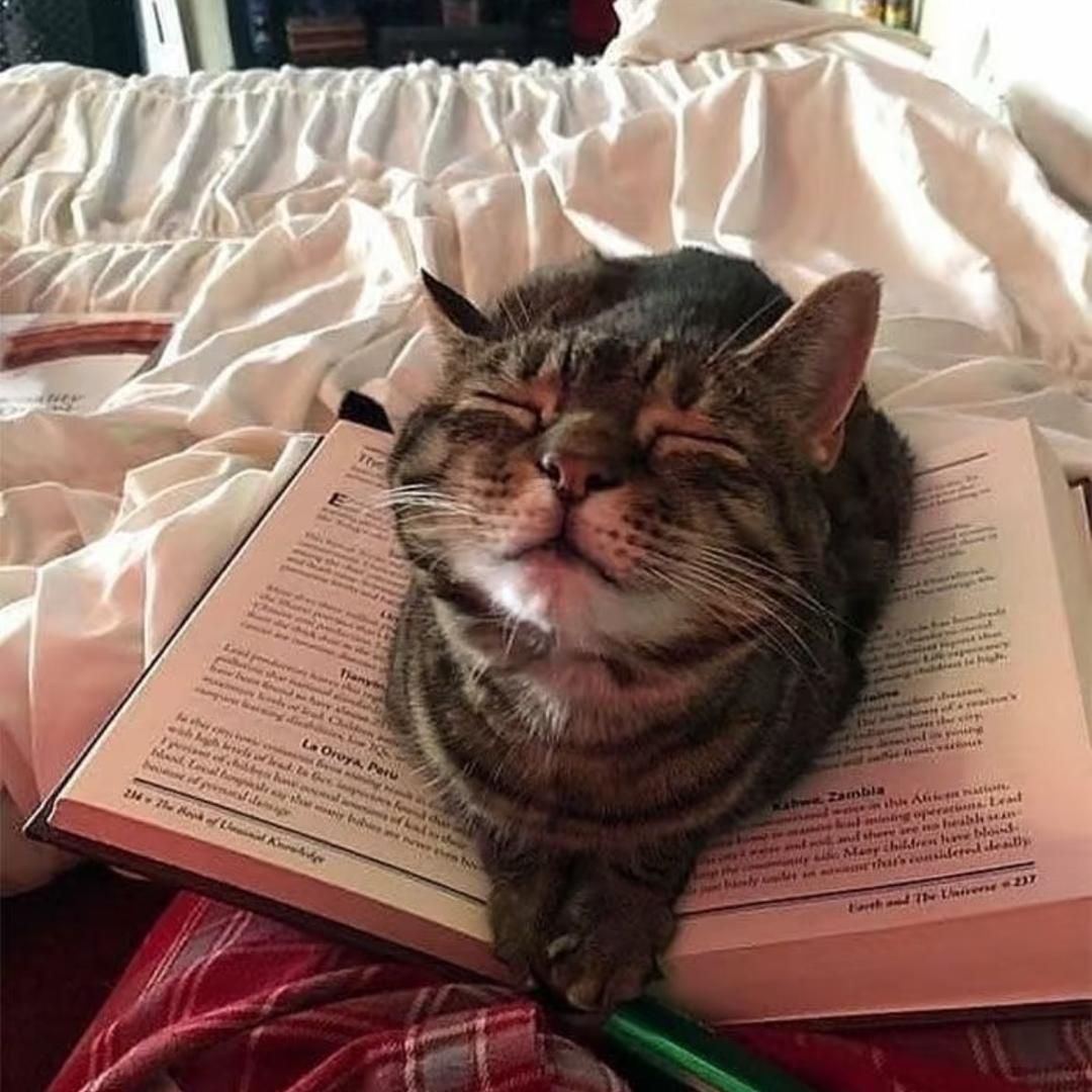 ราตรีสวัสดิ์