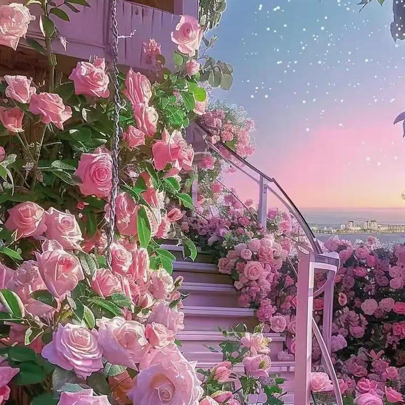 晴朗｜纸罐包装定制