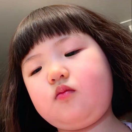 -多肉.🥑
