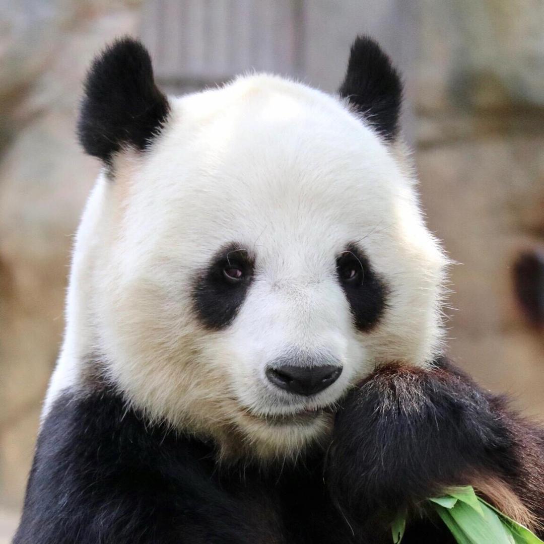 香港海洋公园团购